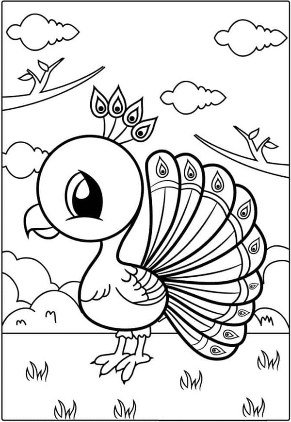 15 Peacock Coloring Pages for Kids to Have Feathery Fun