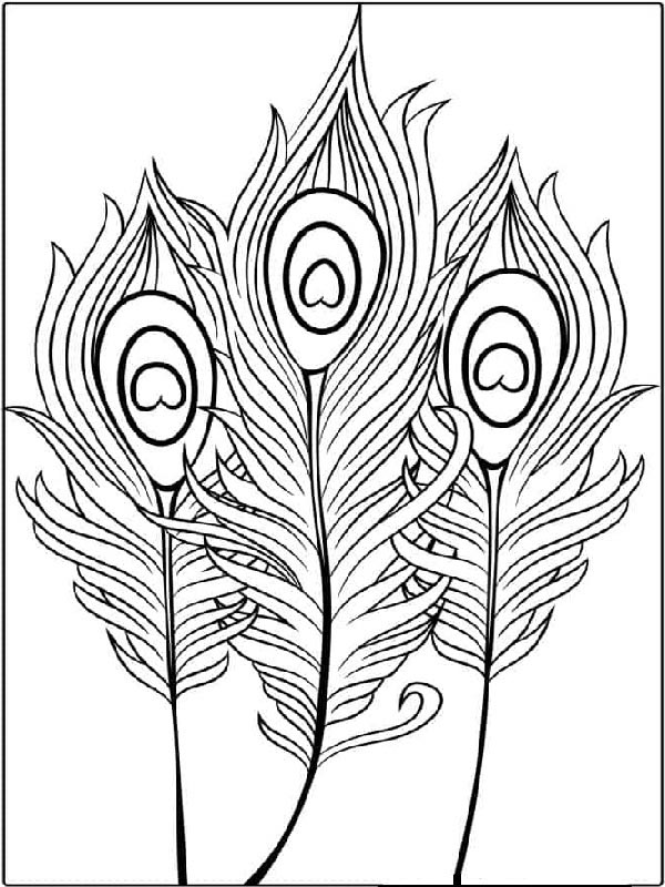 15 Peacock Coloring Pages for Kids to Have Feathery Fun