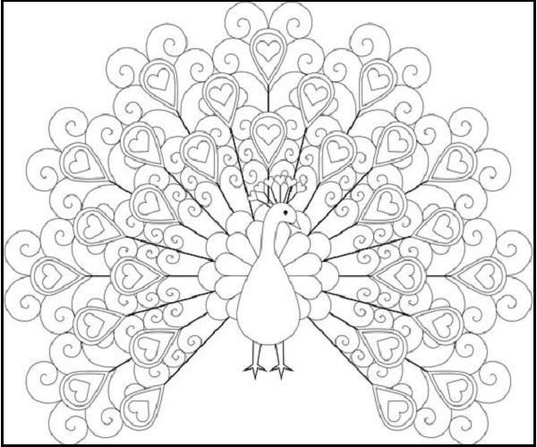 15 Peacock Coloring Pages for Kids to Have Feathery Fun