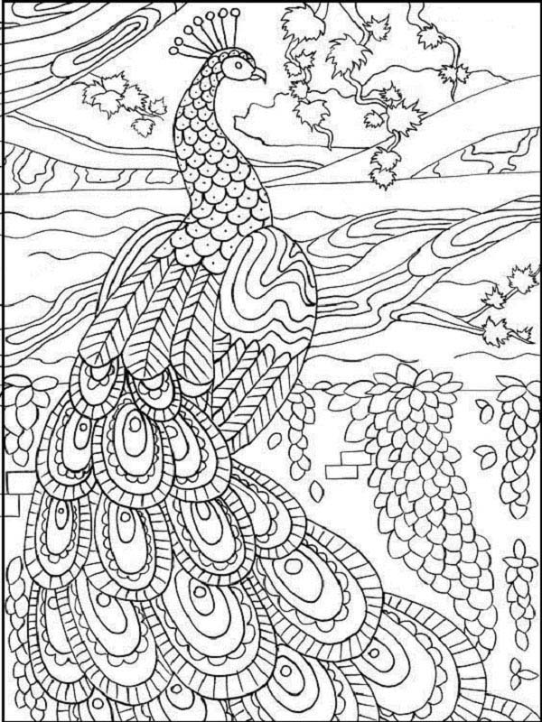15 Peacock Coloring Pages for Kids to Have Feathery Fun