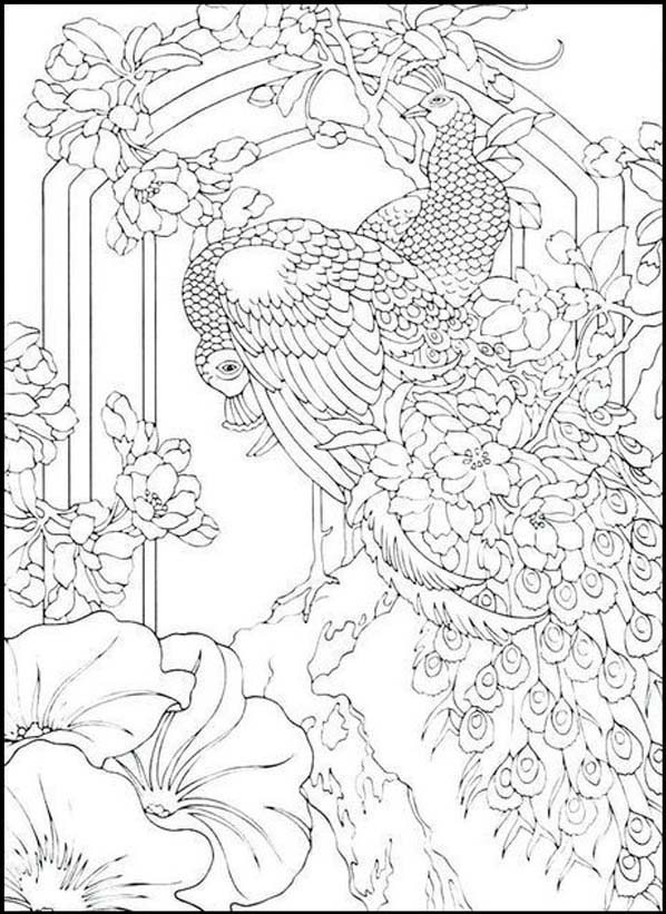 15 Peacock Coloring Pages for Kids to Have Feathery Fun