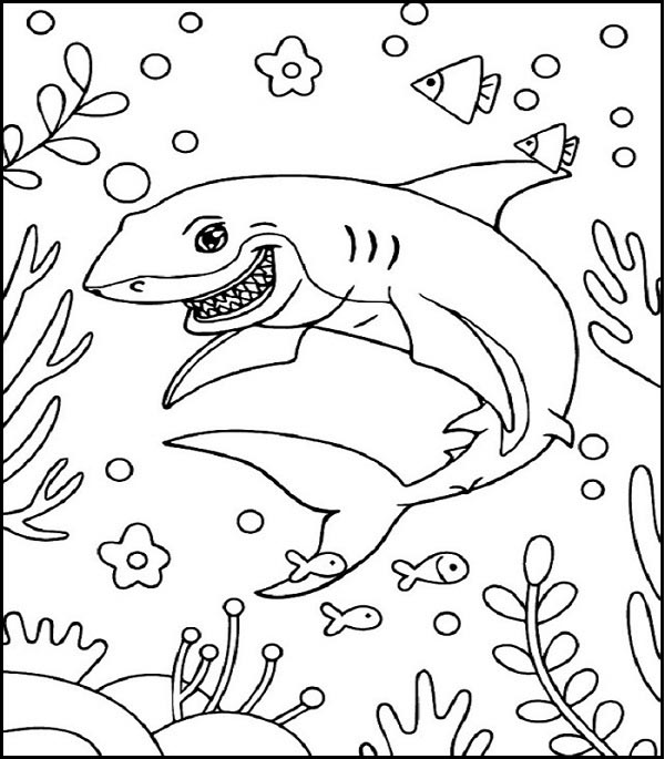 Shark Coloring Pages: Top 15 Color Sheets for Kids of all Ages