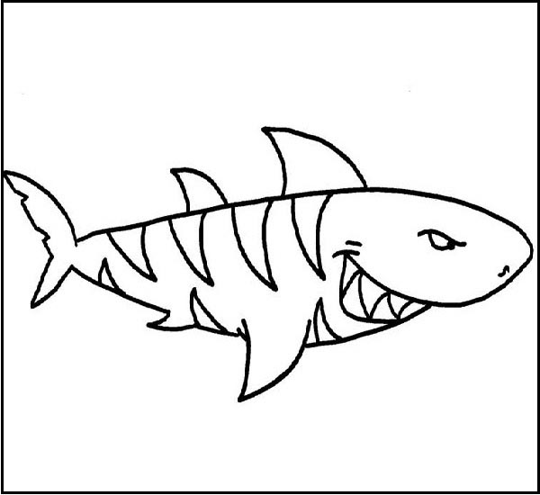 Shark Coloring Pages: Top 15 Color Sheets for Kids of all Ages