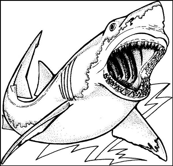 Shark Coloring Pages: Top 15 Color Sheets for Kids of all Ages