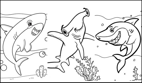 Shark Coloring Pages: Top 15 Color Sheets for Kids of all Ages