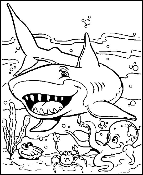 Shark Coloring Pages: Top 15 Color Sheets for Kids of all Ages