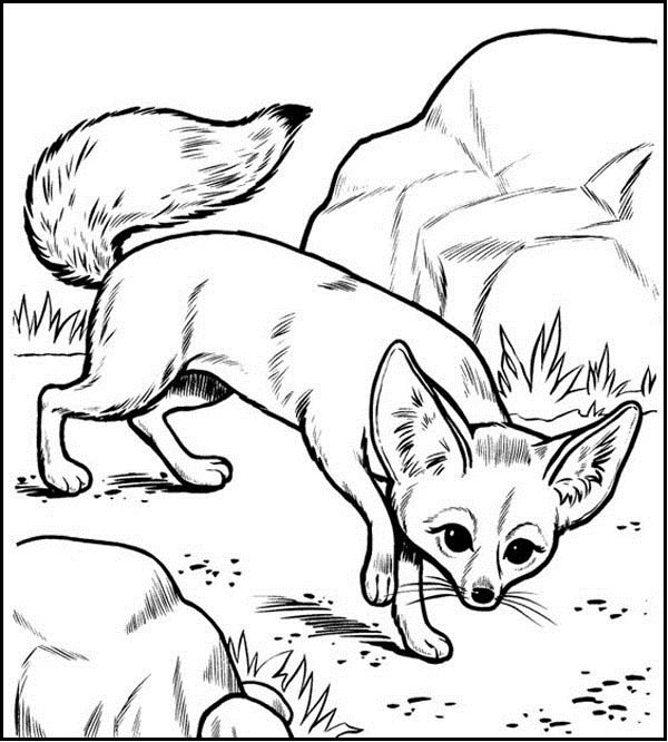 Fox Coloring Pages: 15 Cunning and Playful Sheets for Kids