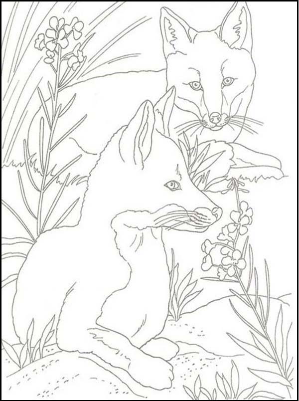 Fox Coloring Pages: 15 Cunning and Playful Sheets for Kids