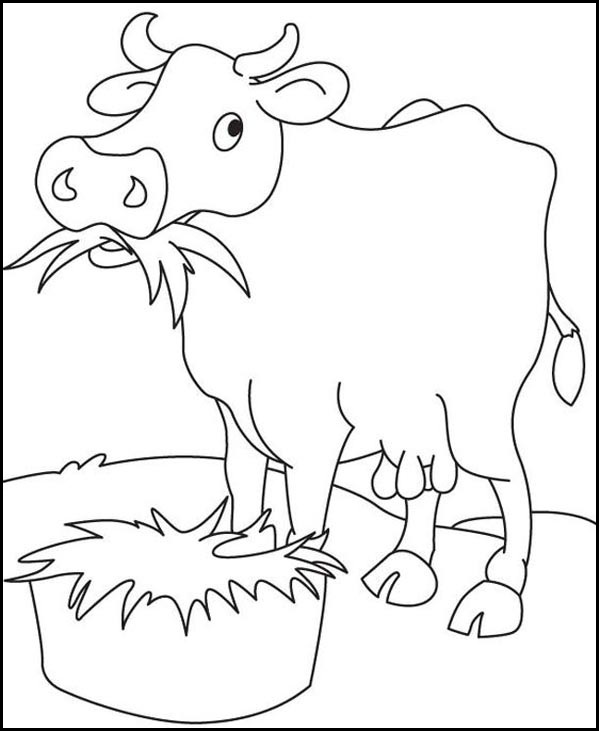 15 Unique and Artistic Cow Coloring Pages for Kids of all Ages