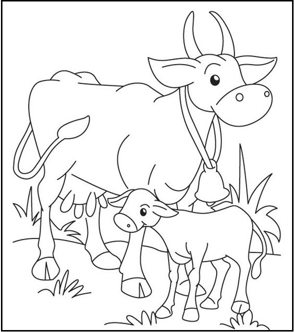15 Unique and Artistic Cow Coloring Pages for Kids of all Ages