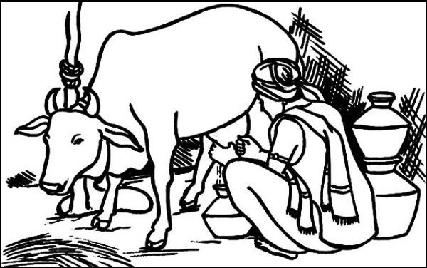 15 Unique and Artistic Cow Coloring Pages for Kids of all Ages