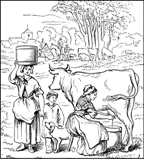 15 Unique and Artistic Cow Coloring Pages for Kids of all Ages