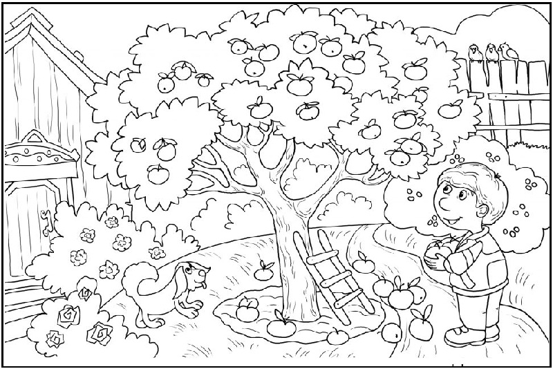 15 Creative Apple Coloring Pages for Kids to Have Fun