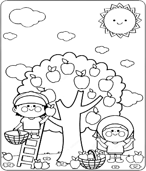 15 Creative Apple Coloring Pages for Kids to Have Fun