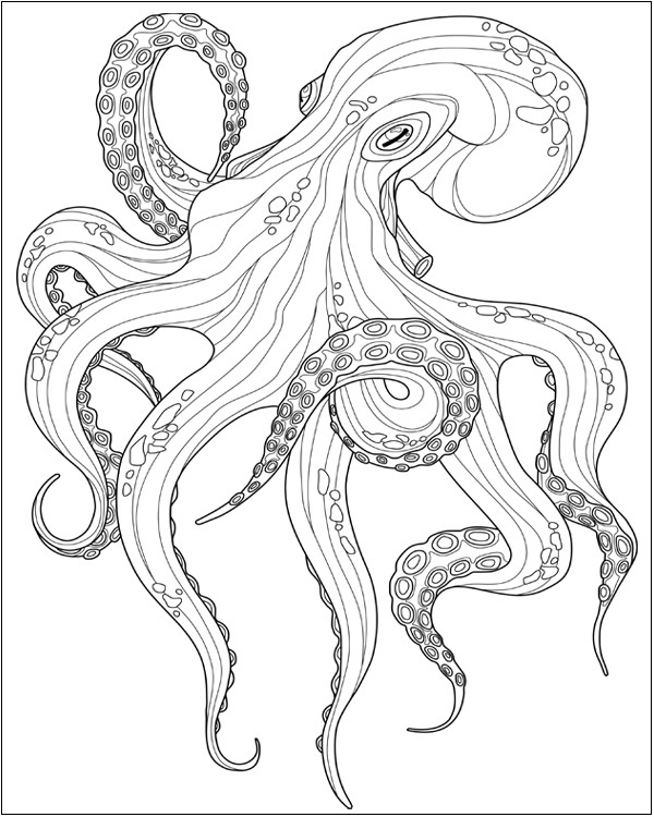 Octopus Coloring Pages: 15 Sheets of Underwater Adventure for Kids