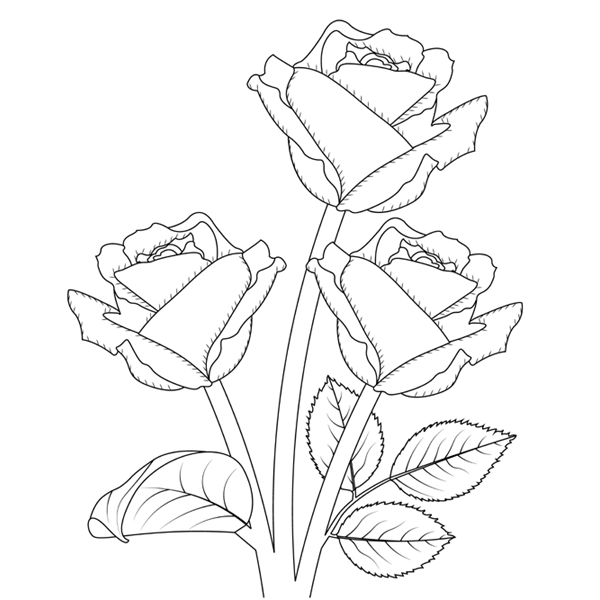 Flower Coloring Pages: 15 Beautiful Floral Patterns