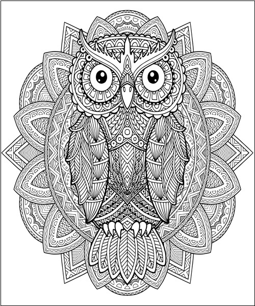 15 Owl Coloring Pages Collection for Endless Inspiration
