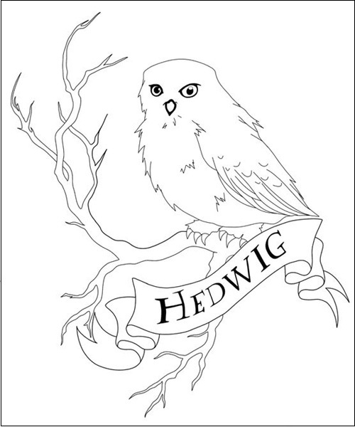 15 Owl Coloring Pages Collection for Endless Inspiration