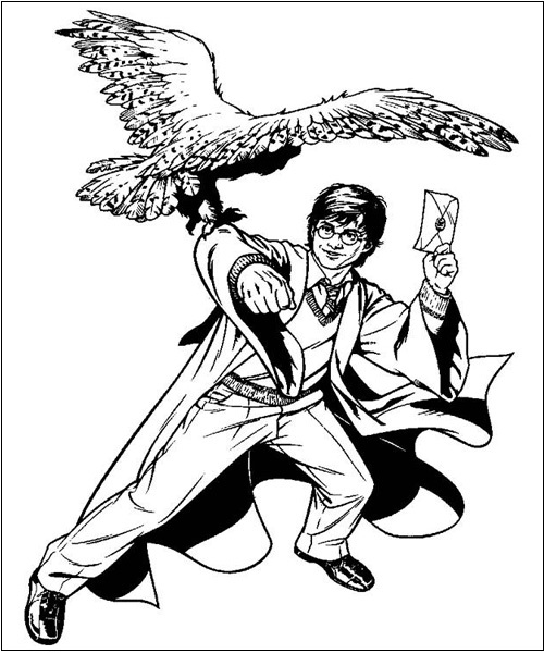 15 Owl Coloring Pages Collection for Endless Inspiration