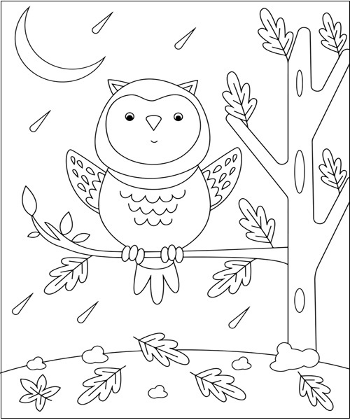15 Owl Coloring Pages Collection for Endless Inspiration