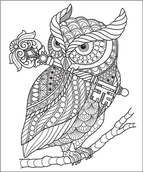 15 Owl Coloring Pages Collection for Endless Inspiration