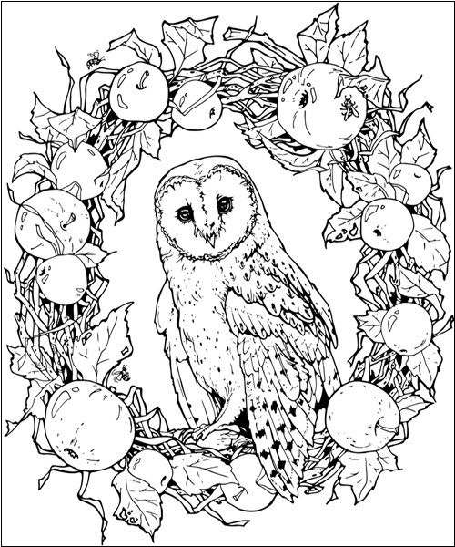 15 Owl Coloring Pages Collection for Endless Inspiration