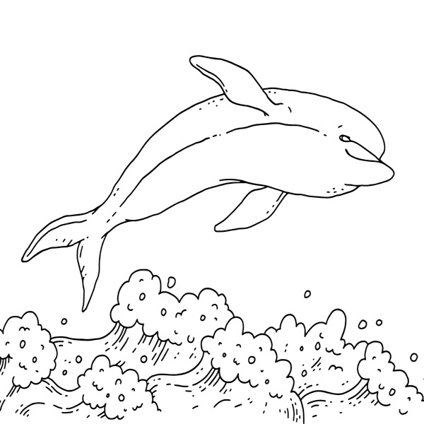 Add Color to These 15 Best Dolphin Colouring Pages! Free to Print!