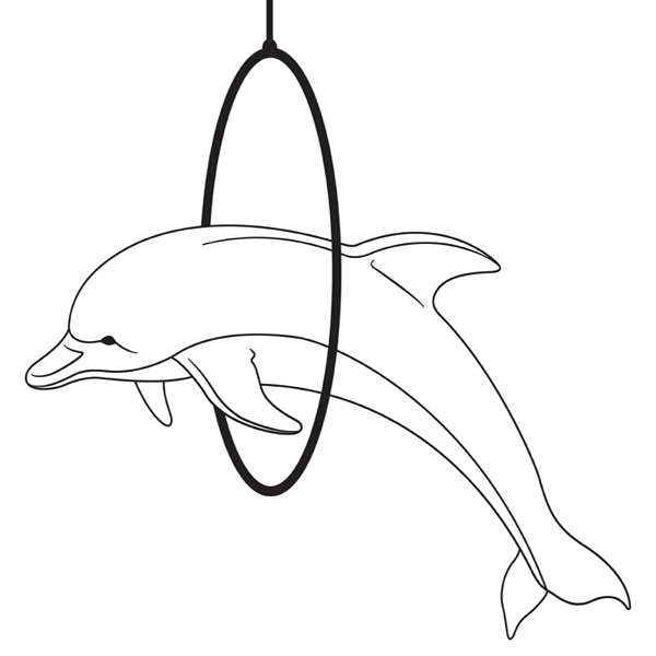 Add Color to These 15 Best Dolphin Colouring Pages! Free to Print!