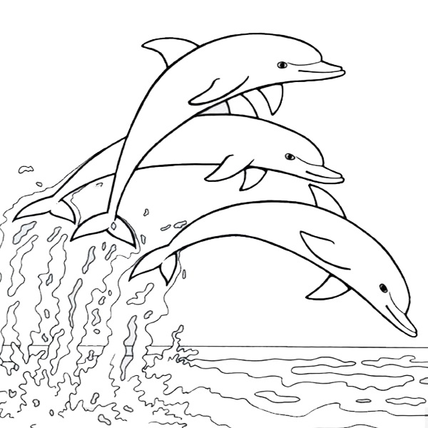 Add Color to These 15 Best Dolphin Colouring Pages! Free to Print!