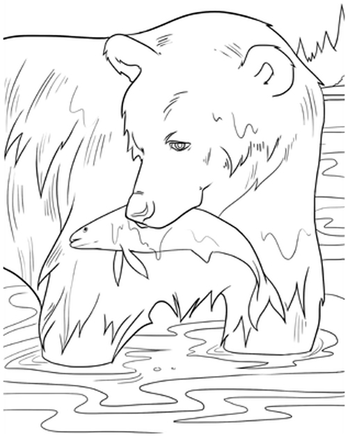 15 Creative Bear Coloring Pages For Your Little One