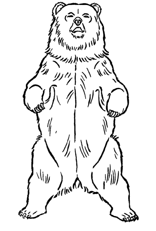 15 Creative Bear Coloring Pages For Your Little One