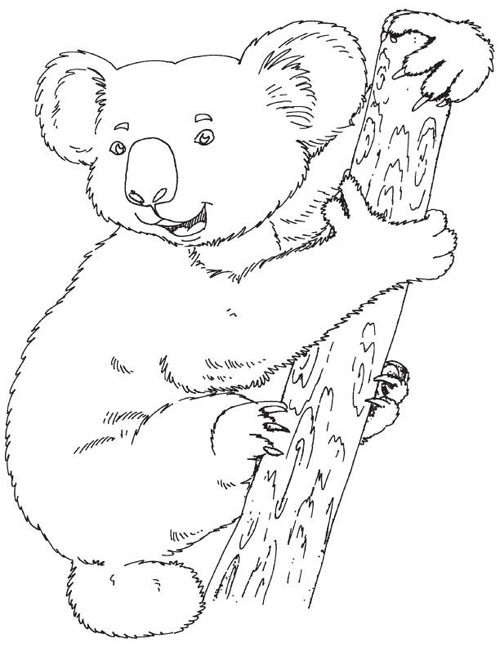 15 Creative Bear Coloring Pages For Your Little One