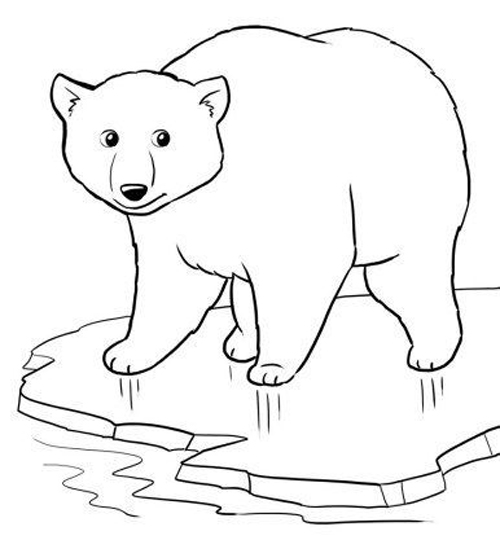 15 Creative Bear Coloring Pages For Your Little One