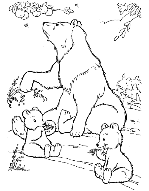 15 Creative Bear Coloring Pages For Your Little One