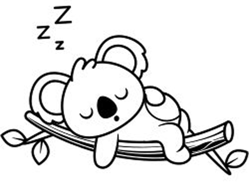 15 Creative Bear Coloring Pages For Your Little One