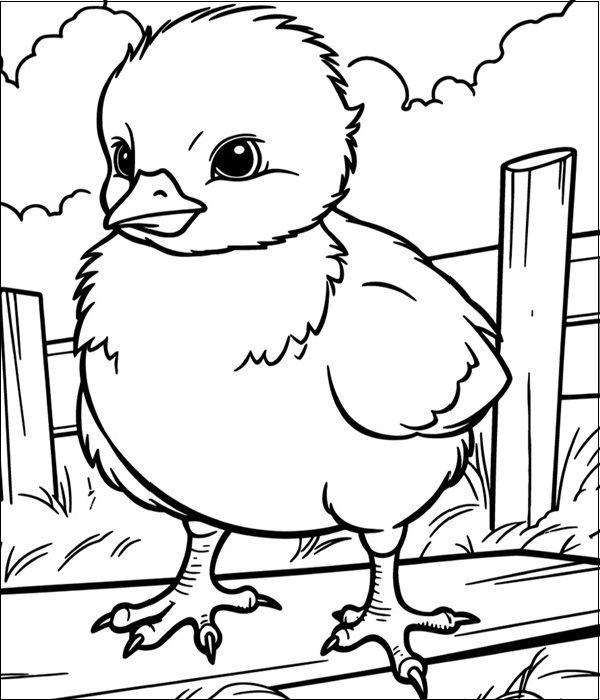 15 Exceptional Chicken Coloring Pages for Creativity and Fun