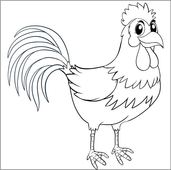15 Exceptional Chicken Coloring Pages for Creativity and Fun