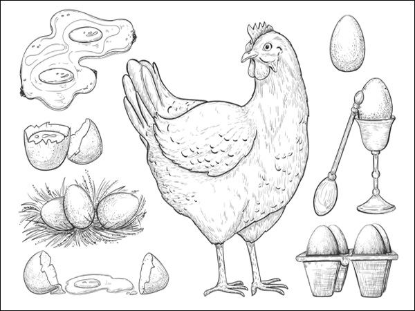 15 Exceptional Chicken Coloring Pages for Creativity and Fun