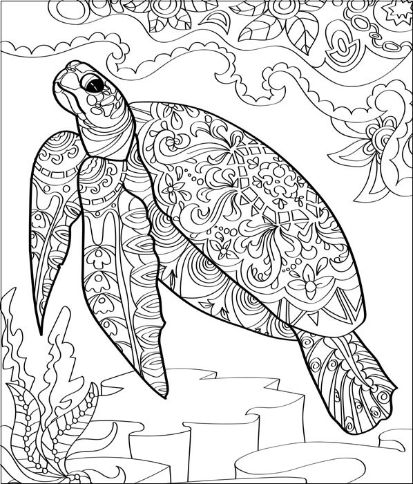 15 Inspiring Turtle Coloring Pages Galore for Kids of All Ages