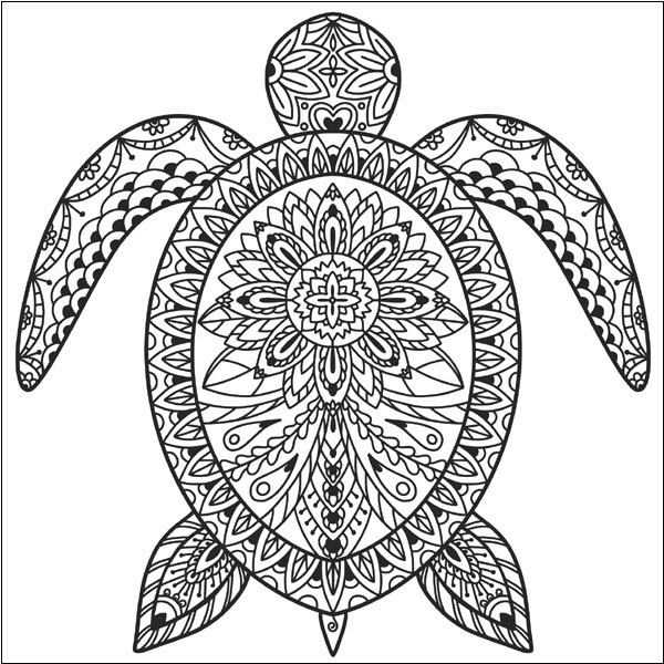 15 Inspiring Turtle Coloring Pages Galore for Kids of All Ages