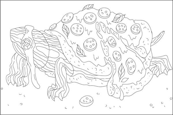15 Inspiring Turtle Coloring Pages Galore for Kids of All Ages