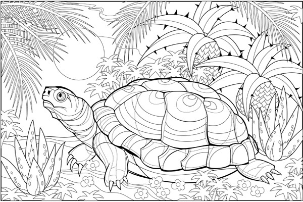 15 Inspiring Turtle Coloring Pages Galore for Kids of All Ages