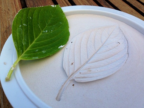 9 Fun and Easy Plaster of Paris Crafts for Kids