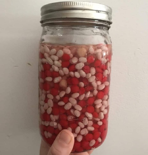 20 Easy &amp; Fun Science Experiments That Will Amaze Kids of All Ages