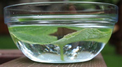 20 Easy &amp; Fun Science Experiments That Will Amaze Kids of All Ages