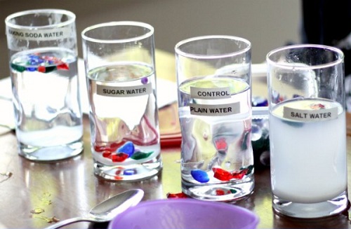 20 Easy &amp; Fun Science Experiments That Will Amaze Kids of All Ages