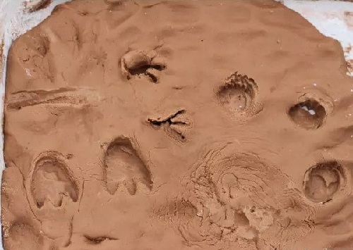 20 Easy &amp; Fun Science Experiments That Will Amaze Kids of All Ages