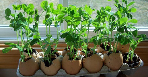 Nature Crafts: 9 Best Craft and Art Design Ideas For Kids