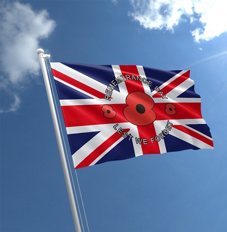 Remembrance Day Crafts: 9 Unique Poppy Day Crafts for Kids