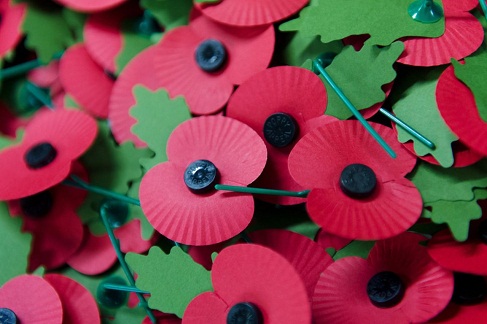 Remembrance Day Crafts: 9 Unique Poppy Day Crafts for Kids